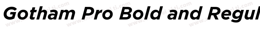 Gotham Pro Bold and Regular字体转换